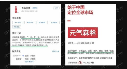 套利與降維的游戲 元氣森林的商業(yè)邏輯與融資咨詢服務(wù)